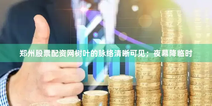 郑州股票配资网树叶的脉络清晰可见；夜幕降临时