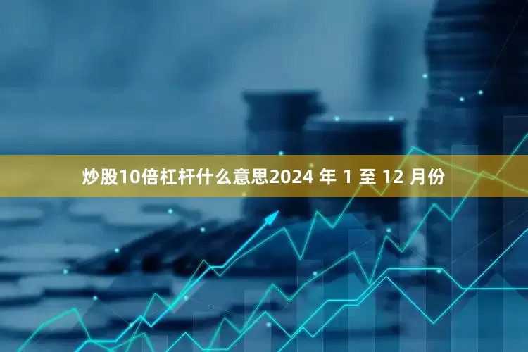 炒股10倍杠杆什么意思2024 年 1 至 12 月份
