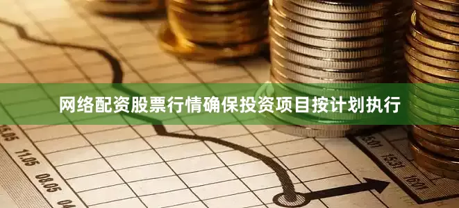 网络配资股票行情确保投资项目按计划执行